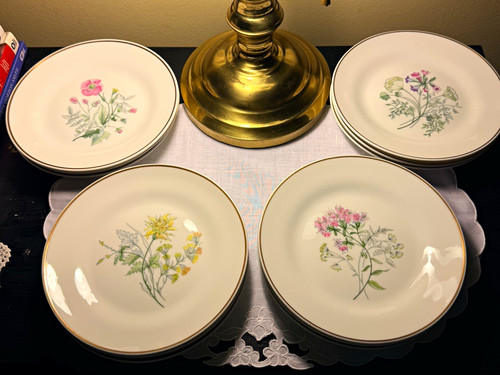 Set piatti vintage fuori - set, 12